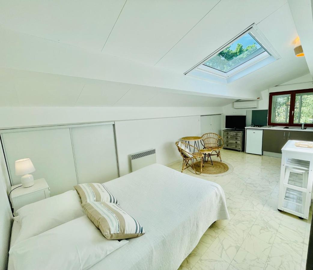 Studio Mansarde Climatise Les Roseaux Bord De Lac Biscarrosse Exterior photo