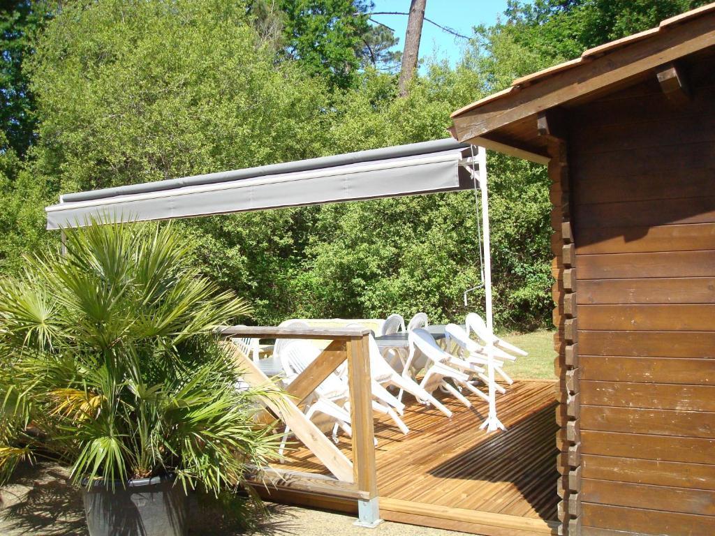 Studio Mansarde Climatise Les Roseaux Bord De Lac Biscarrosse Exterior photo