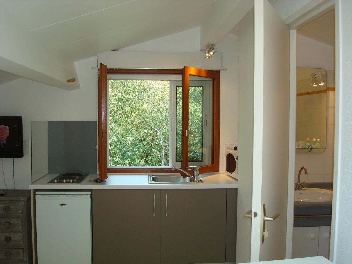Studio Mansarde Climatise Les Roseaux Bord De Lac Biscarrosse Exterior photo